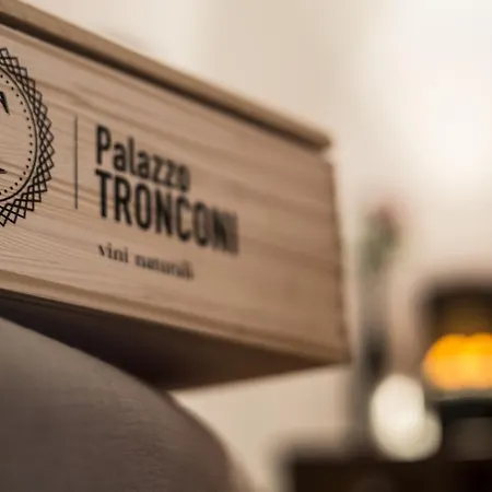 مزرعة للإقامة Palazzo Tronconi *